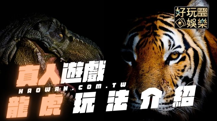 真人龍虎玩法教學,龍虎