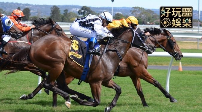 香港賽馬線上投注,香港賽馬玩法教學 5 香港賽馬線上投注香港賽馬玩法教學