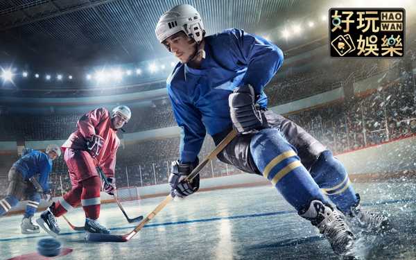 NHL冰球規則及冰球玩法教學 3 NHL冰球規則及冰球玩法教學
