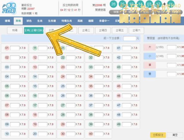 六合彩全車玩法介紹,趕緊上車賺錢了! 5 六合彩全車玩法介紹